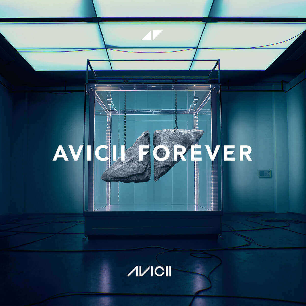 Avicii『Avicii Forever』