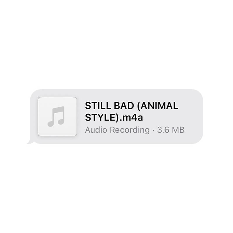 Lizzo「Still Bad (Animal Style)」