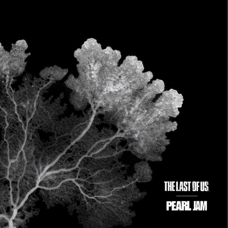 Pearl Jam『The Last of Us』