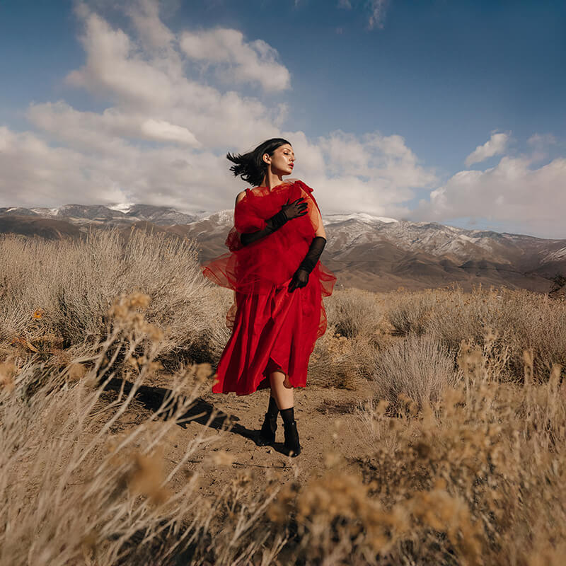 GRACEY『Ladybug』