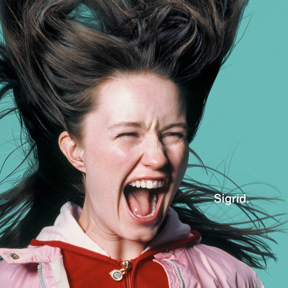 Sigrid『There's Always More That I Could Say』