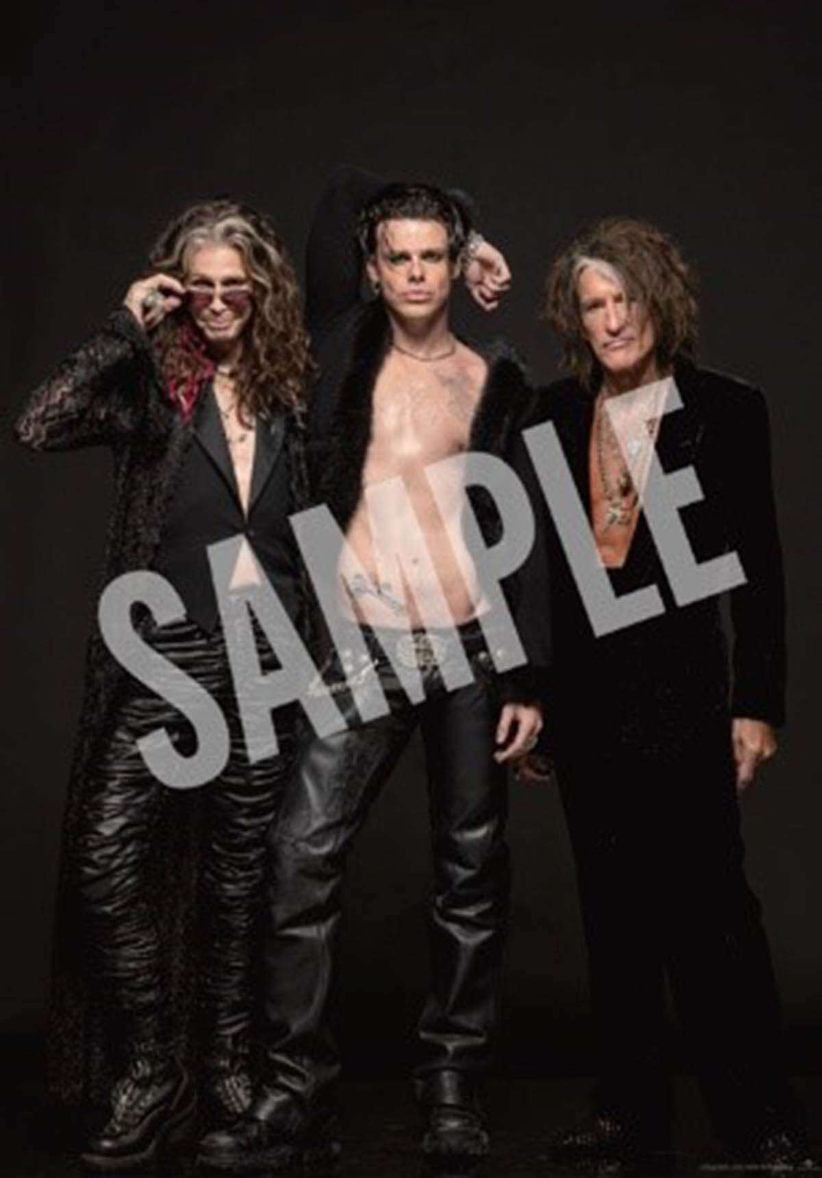 『エアロスミス ロックス・ドニントン 2014』大音量上映入場者特典：エアロスミス＆ヤングブラッド 『ワン・モア・タイム』 ポストカード SAMPLE