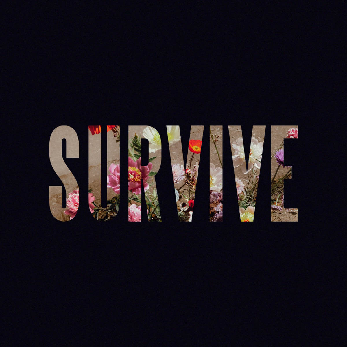 Lewis Capaldi『Survive』