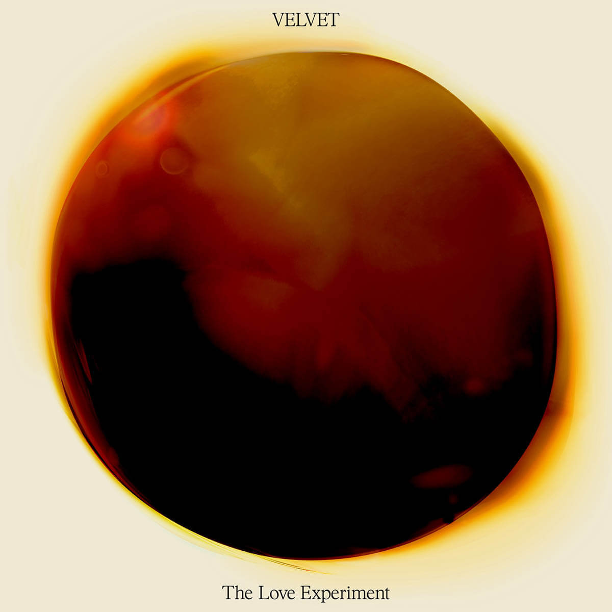 The Love Experiment『Velvet』