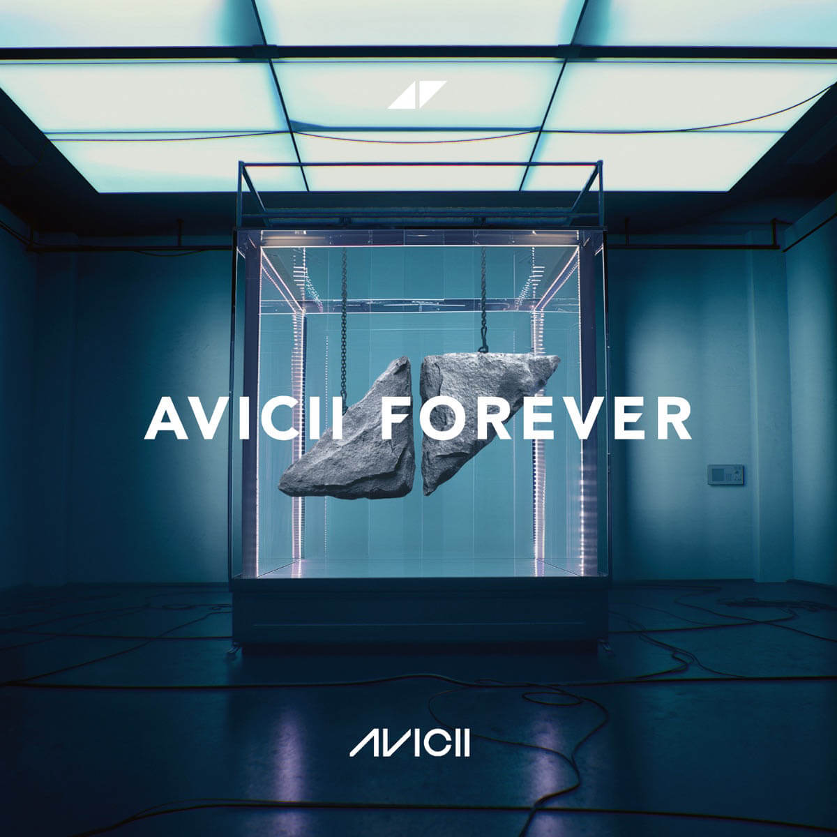 Avicii『Avicii Forever』