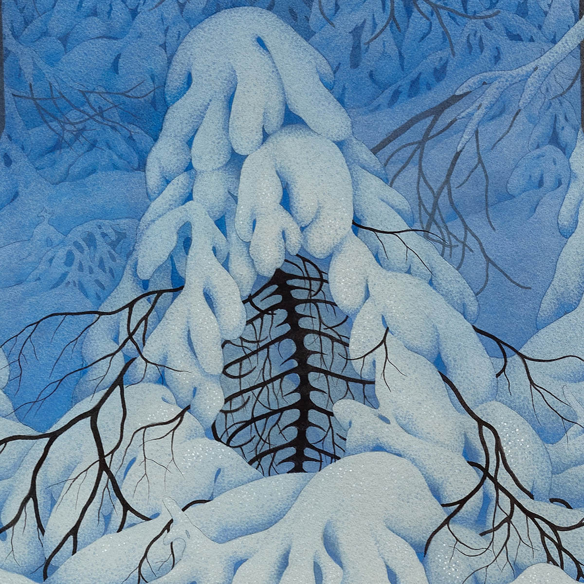 Cardinals「Barbed Wire」