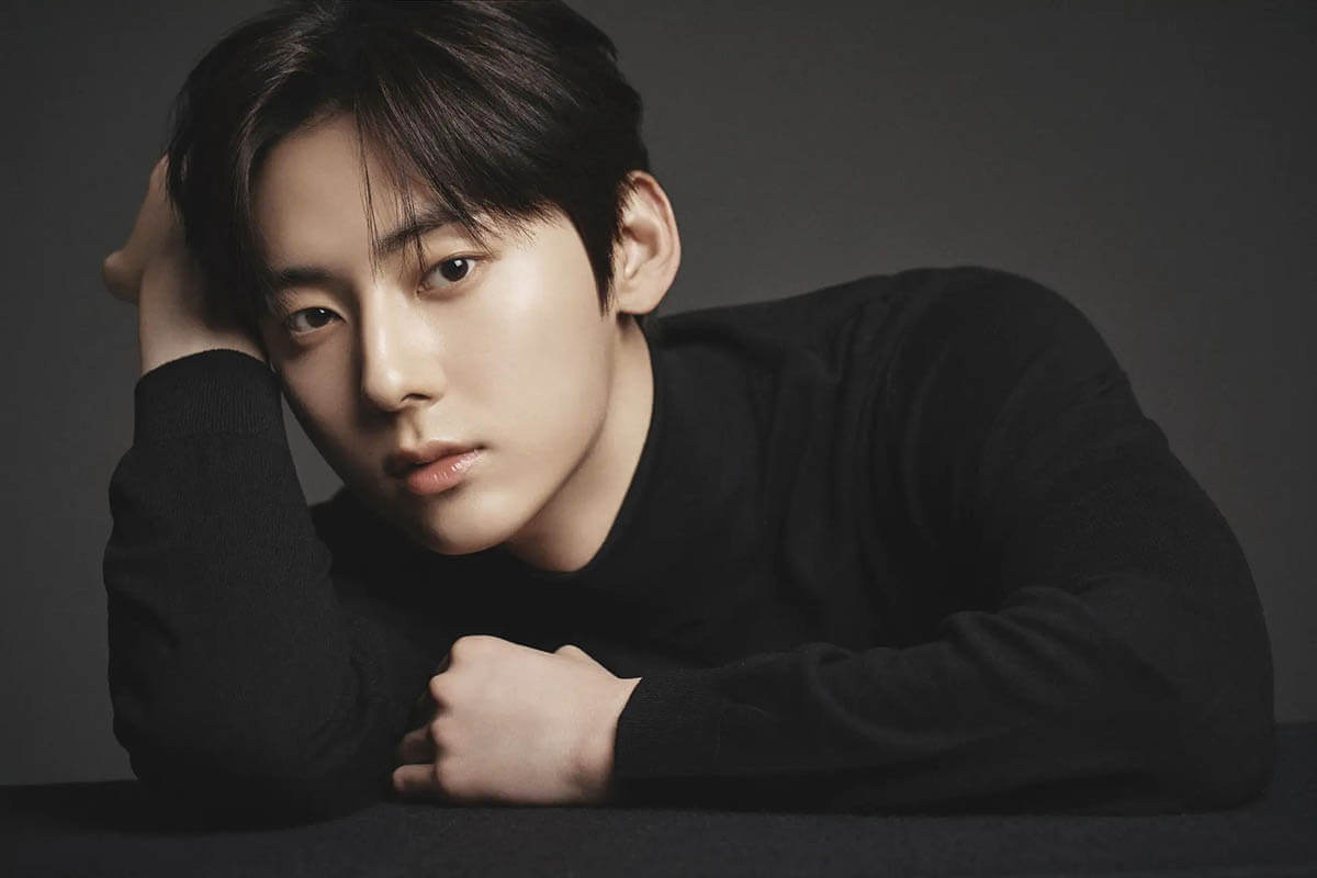 (P)&(C) PLEDIS Entertainment