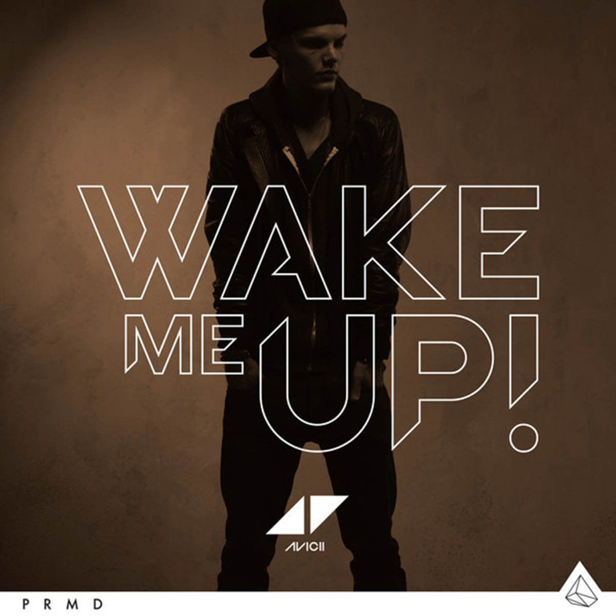 Avicii「Wake Me Up」