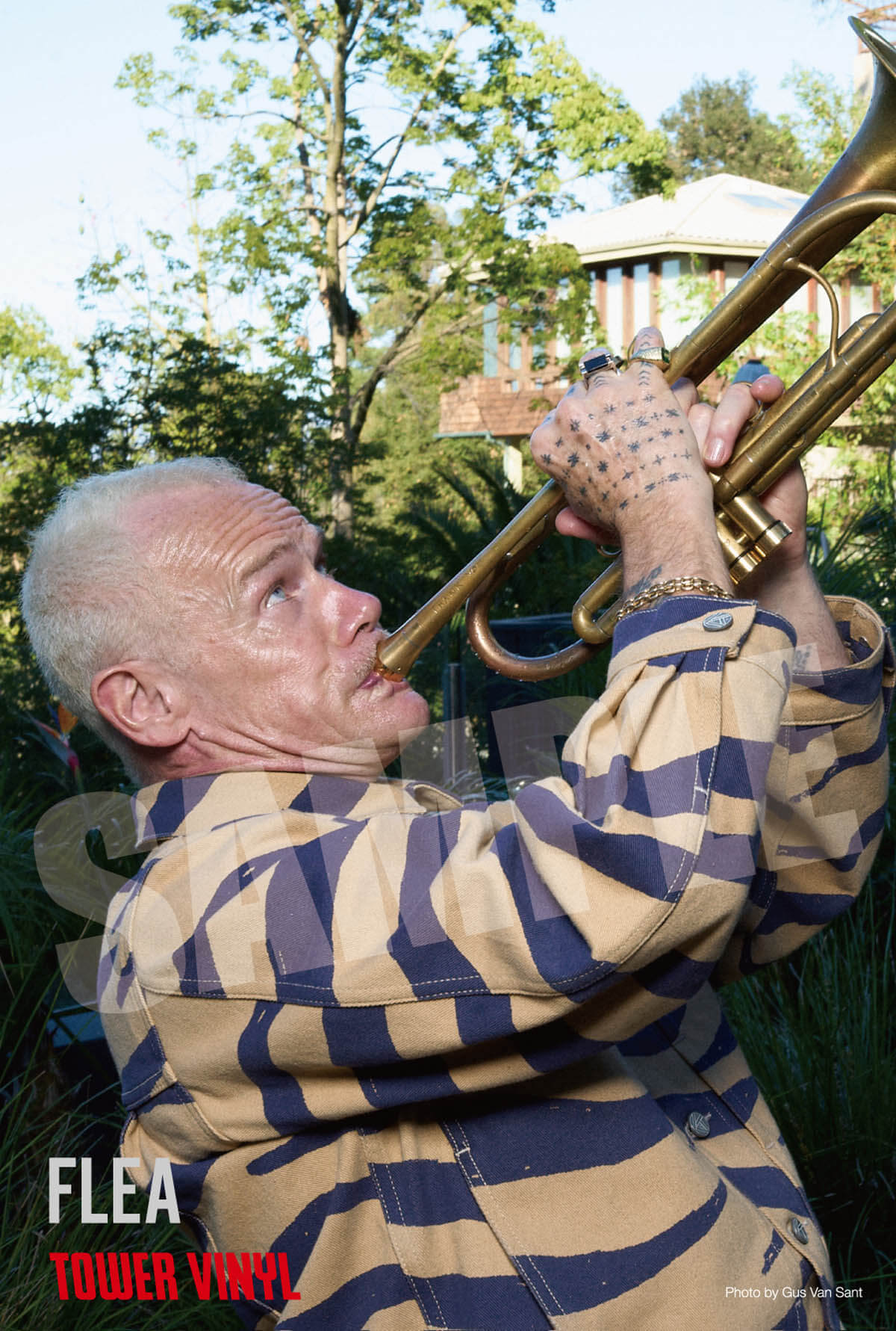 フリー『Honora / オノラ』国内盤CD特典 TOWER VINYLポスター掲出＆特典ポストカード SAMPLE