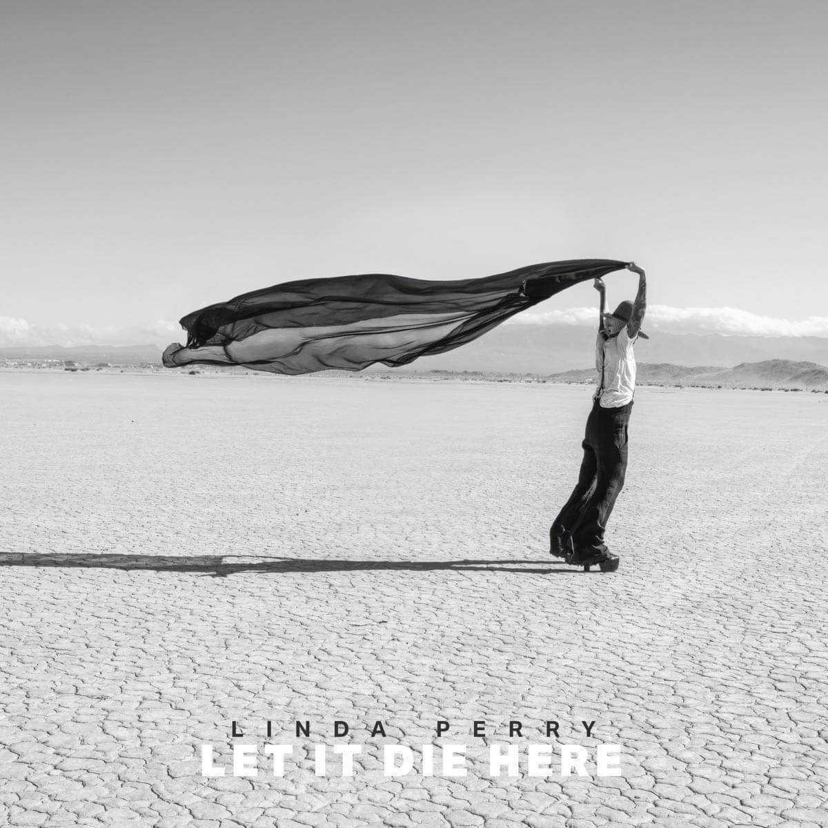 Linda Perry『Let It Die Here』