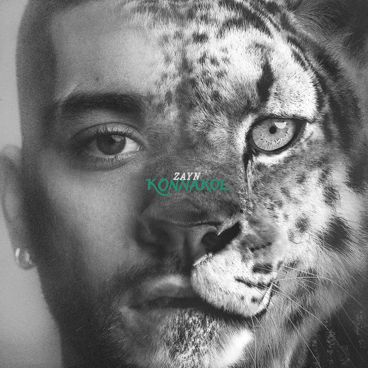 ZAYN『KONNAKOL』