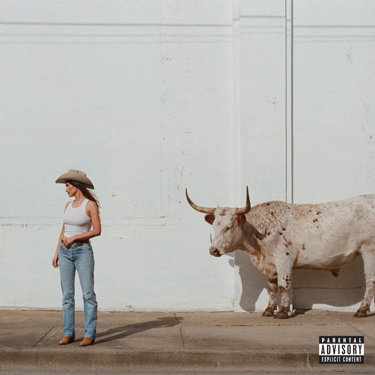 Kacey Musgraves『Middle of Nowhere』