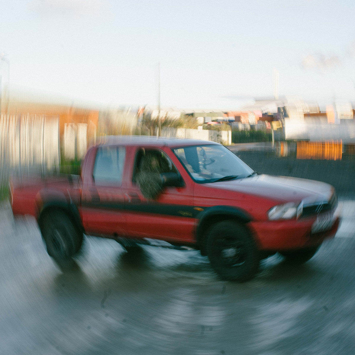 Adult DVD「Real Tree Lee」