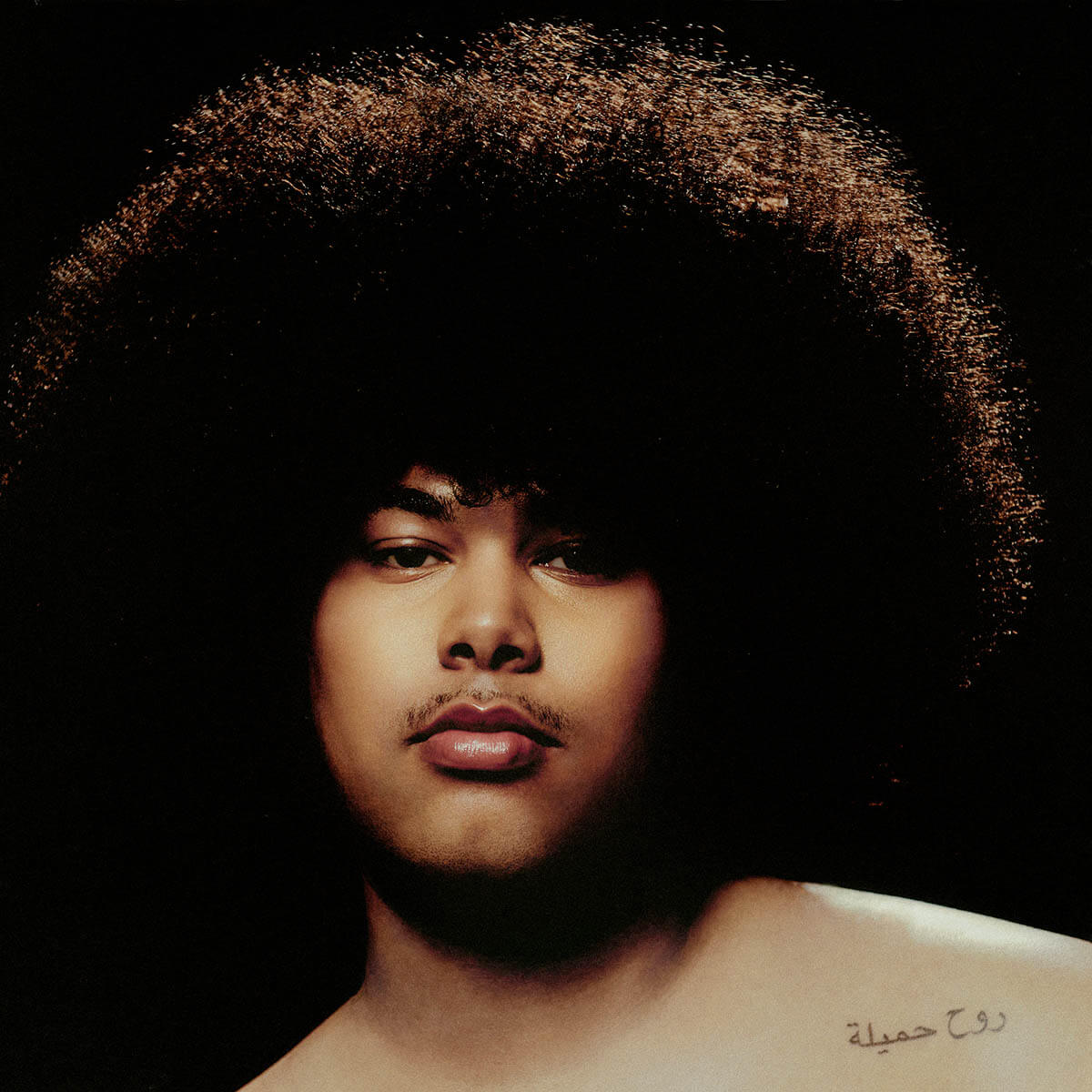 Sekou「Dangerous Lover」