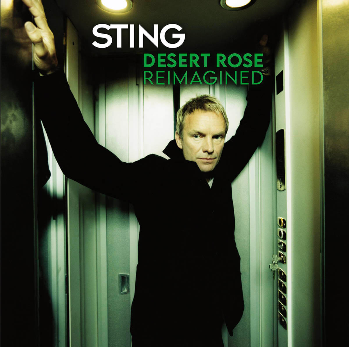 Sting『Desert Rose (Reimagined)』